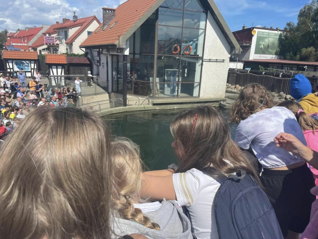 364155639_258381967058473_2693685099602455694_n