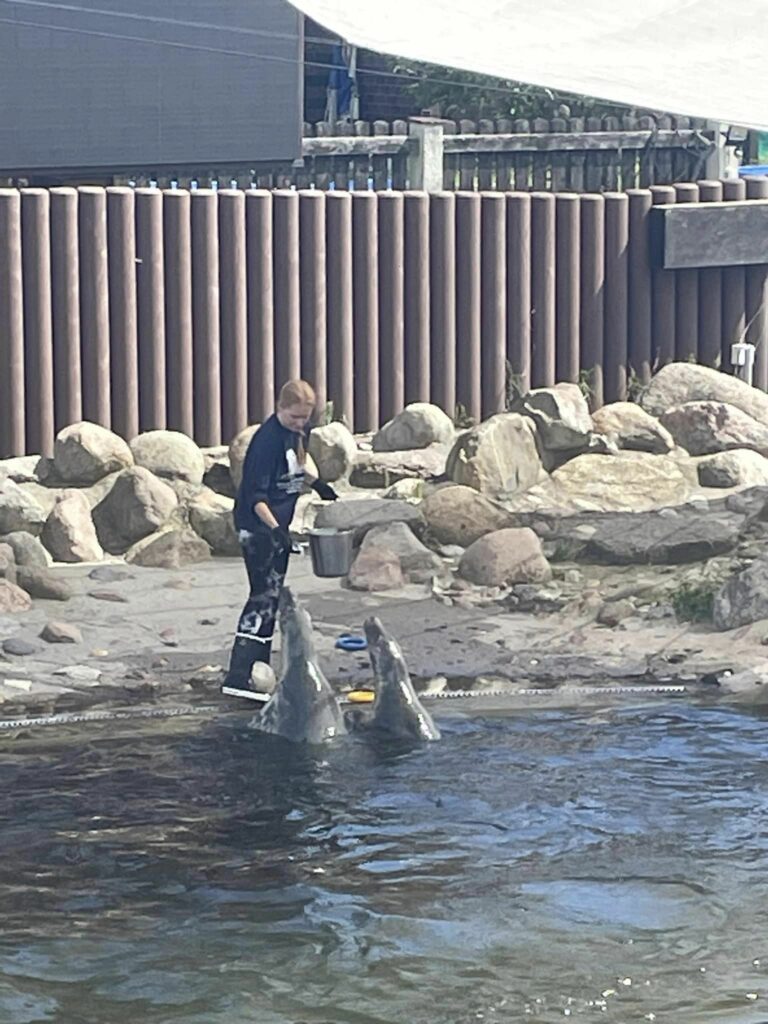 366702586_258381900391813_5791470576297732489_n